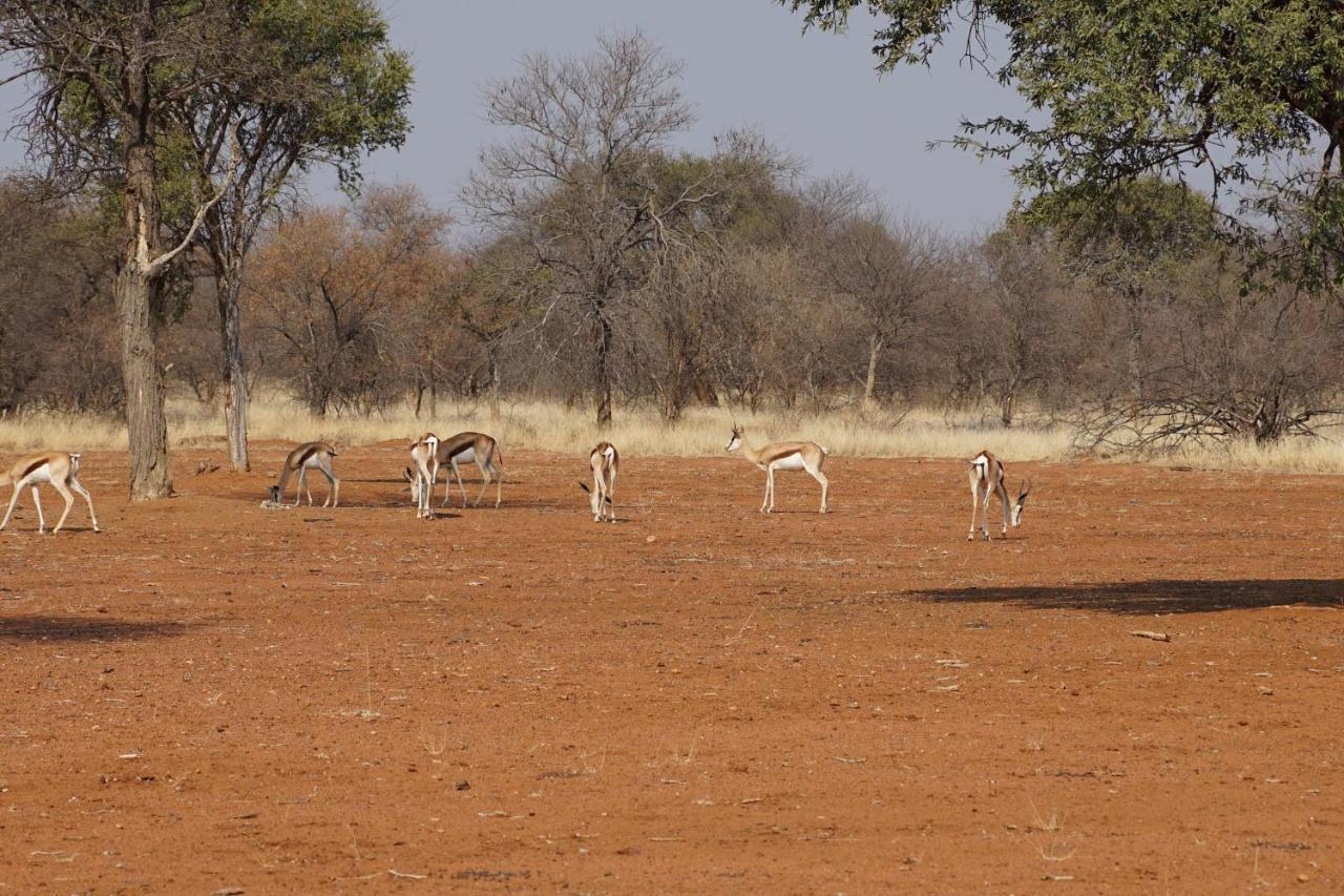 Kwele Game Lodge Beauty ภายนอก รูปภาพ